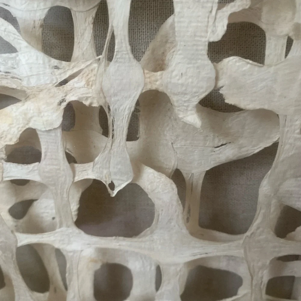 MCM‎ Organic Modern Wall Art in Paper and Muslin in a Shadowbox Frame linen